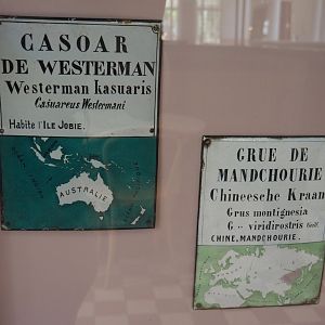 Historical signs for Papuan dwarf cassowary and Red-crowned crane, 2021-07-17