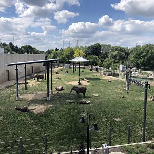 Elephant Exhibit overhead view