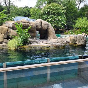 Sea Lion Pool - August 2021