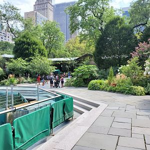 Sea Lion Pool/General View - August 2021