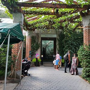 Entrance to the Tropic Zone - August 2021