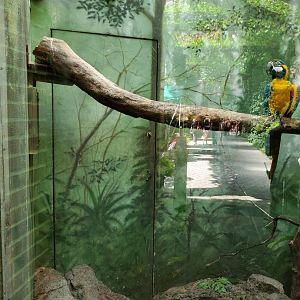 Macaw Exhibit/Hidden Door - August 2021