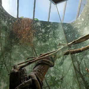 Macaw Exhibit Skylight Detail - August 2021