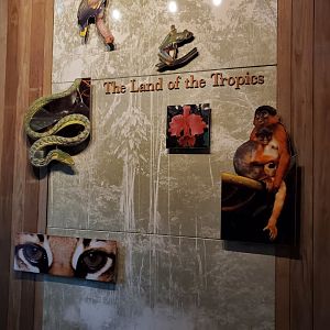 The Land of the Tropics Intro Graphic - August 2021