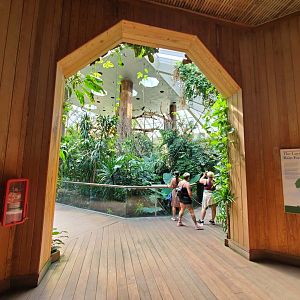 Tropic Zone Introduction - August 2021