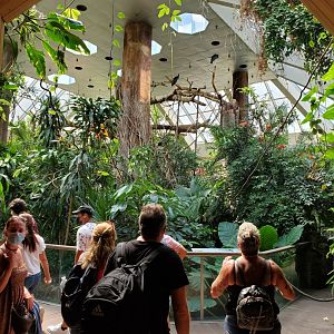 Tropic Zone General View - August 2021