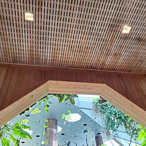 Tropic Zone Wood Roof Detail - August 2021