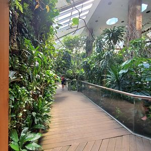 Tropic Zone General View - August 2021