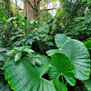 Tropic Zone General View - August 2021