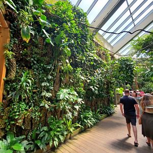 Tropic Zone General View - August 2021