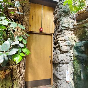 Piranha Exhibit (Access Door?) - August 2021