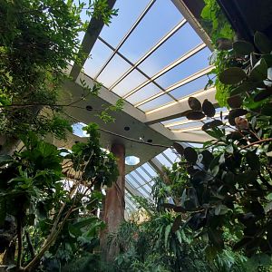 Tropic Zone General Roof View - August 2021