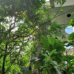 Tropic Zone General View - August 2021