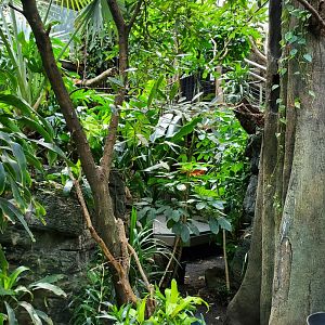 Tropic Zone - August 2021