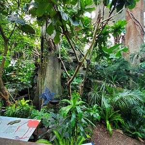 Tropic Zone General View - August 2021