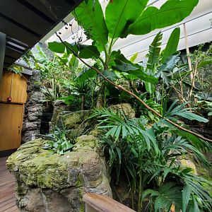 Tropic Zone - August 2021