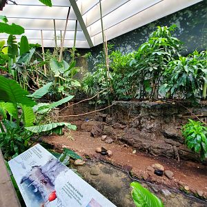 Tropic Zone (Riverbank) - August 2021