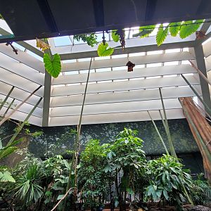 Tropic Zone Roof Detail - August 2021