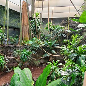 Tropic Zone: Riverbank - August 2021