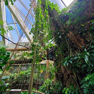 Tropic Zone - August 2021