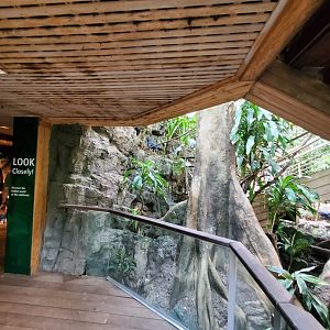 Tropic Zone Transitional Hallway - August 2021