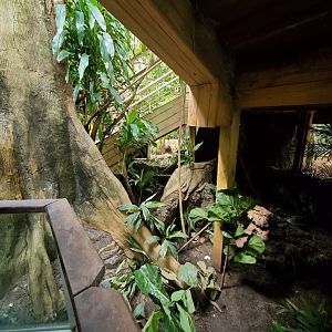 Tropic Zone - August 2021