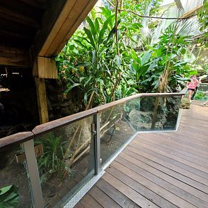 Tropic Zone - August 2021