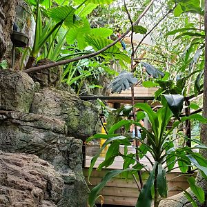 Tropic Zone - August 2021