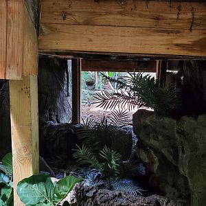 Tropic Zone - August 2021