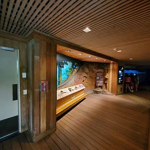 Tropic Zone Hallway View - August 2021