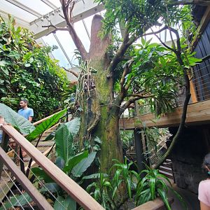 Tropic Zone - August 2021