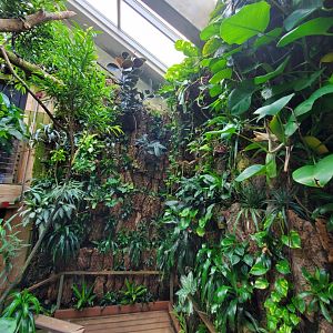 Tropic Zone - August 2021