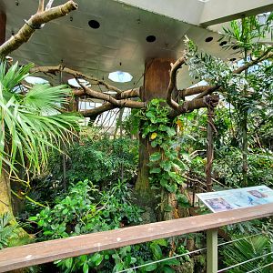 Tropic Zone Overview - August 2021