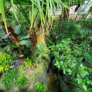 Tropic Zone - August 2021