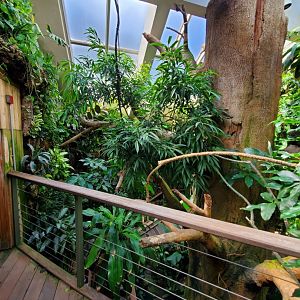 Tropic Zone - August 2021