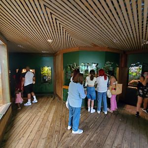 Tropic Zone - General View