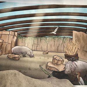 Adventure Africa Phase 3 Concept Art - Indoor Hippo Exhibit