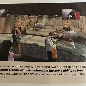 Adventure Africa Phase 3 Concept Art - Indoor Hippo Exhibit