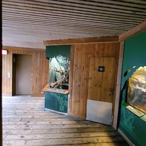 Various Terrariums - August 2021