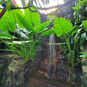 Tropic Zone - August 2021