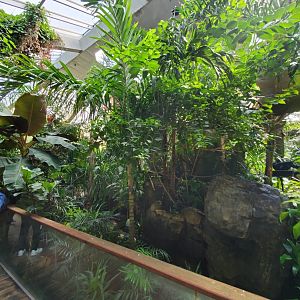 Tropic Zone - August 2021