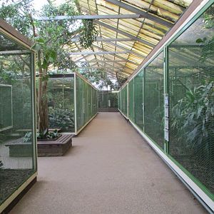Aviaries in the paradise hall