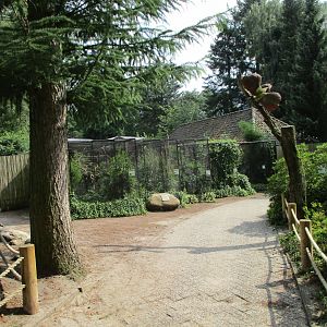 Birds-of-paradise section