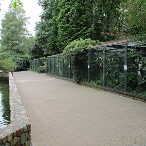 Owl aviaries next to the penguin enclosure