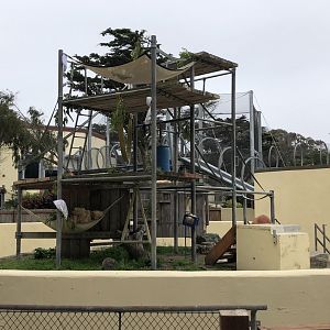 Bornean orangutan exhibit (former chimp grotto)
