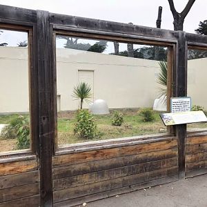 Aldabra giant tortoise exhibit (former Komodo dragon outdoor yard)