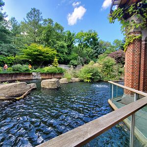 Japanese Macaque Habitat - August 2021