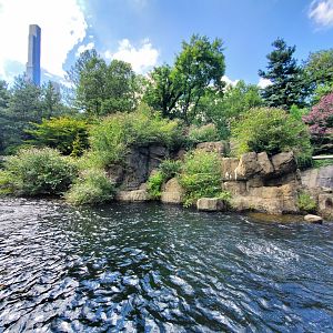 Japanese Macaque Habitat - August 2021