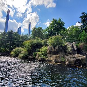 Japanese Macaque Habitat - August 2021