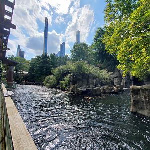 Japanese Macaque Habitat - August 2021